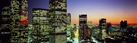 Downtown Los Angeles CA USA Fine Art Print