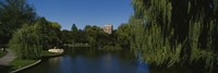Boston Public Garden, Boston, Massachusetts Fine Art Print