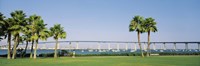 Palm trees on the coast with bridge in the background, Coronado Bay Bridge, San Diego, San Diego County, California, USA Fine Art Print