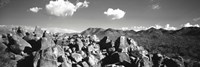 Boulders on a landscape, Saguaro National Park, Tucson, Pima County, Arizona, USA by Panoramic Images - 36" x 12"