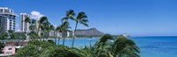 Palm Trees On The Beach, Waikiki Beach, Honolulu, Oahu, Hawaii, USA Fine Art Print