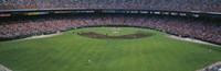 Baseball stadium, San Francisco, California, USA Fine Art Print