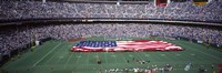 Veterans Stadium, Philadelphia, Pennsylvania Fine Art Print