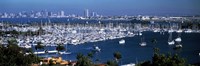 Boats moored at a harbor, San Diego, California, USA Fine Art Print
