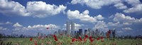 Red Flowers in a park with buildings in the background, Manhattan Fine Art Print