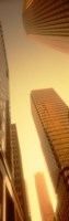 Buildings in the Financial district, San Francisco, California by Panoramic Images - 12" x 36"