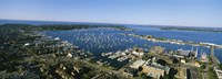 Aerial view of a harbor, Newport Harbor, Newport, Rhode Island, USA by Panoramic Images - 36" x 12"