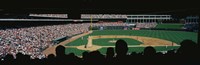 The Ballpark in Arlington Fine Art Print