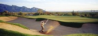 Side profile of a man playing golf at a golf course, Tucson, Arizona, USA Fine Art Print