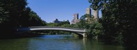 Bridge Over A Lake, Bow Bridge, Manhattan, NYC, New York City, New York State, USA Fine Art Print