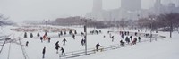 Group of people ice skating in a park, Bicentennial Park, Chicago, Cook County, Illinois, USA Fine Art Print