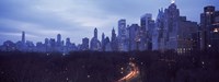 Central Park New York NY by Panoramic Images - 36" x 12"