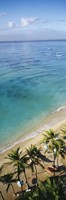 High angle view of palm trees with beach umbrellas on the beach, Waikiki Beach, Honolulu, Oahu, Hawaii, USA Fine Art Print