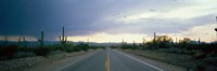 Desert Road near Tucson Arizona USA Fine Art Print