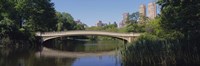 Bridge across a lake, Central Park, New York City, New York State, USA Fine Art Print