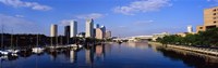 Tampa FL Fine Art Print