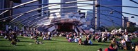 People At A Lawn, Pritzker Pavilion, Millennium Park, Chicago, Illinois, USA Fine Art Print