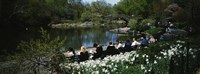 Group of people sitting on benches near a pond, Central Park, Manhattan, New York City, New York State, USA Fine Art Print