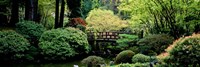 Panoramic view of a garden, Japanese Garden, Washington Park, Portland, Oregon Fine Art Print