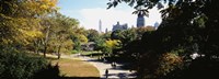 High angle view of a group of people walking in a park, Central Park, Manhattan, New York City, New York State, USA Fine Art Print
