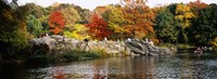 Group of people sitting on rocks, Central Park, Manhattan, New York City, New York, USA Fine Art Print