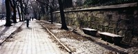 Rear view of a woman walking on a walkway, Central Park, Manhattan, New York City, New York, USA Fine Art Print