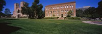 Lawn in front of a Royce Hall and Haines Hall, University of California, City of Los Angeles, California, USA Fine Art Print