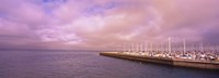 Yachts moored at a harbor, San Francisco Bay, San Francisco, California, USA Fine Art Print