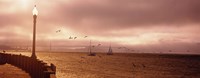 Sailboats in the sea, San Francisco Bay, Golden Gate Bridge, San Francisco, California, USA Fine Art Print