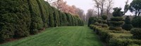Hedge in a formal garden, Ladew Topiary Gardens, Monkton, Baltimore County, Maryland Fine Art Print