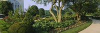 Plants in a garden, Bahai Temple Gardens, Wilmette, New Trier Township, Chicago, Cook County, Illinois, USA Fine Art Print