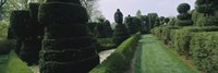Sculptures formed from trees and plants in a garden, Ladew Topiary Gardens, Monkton, Baltimore County, Maryland, USA Fine Art Print