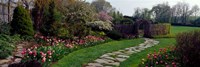 Flowers in a garden, Ladew Topiary Gardens, Monkton, Baltimore County, Maryland, USA Fine Art Print