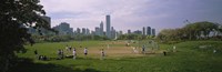Group of people playing baseball in a park, Grant Park, Chicago, Cook County, Illinois, USA Fine Art Print