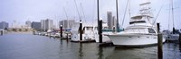 Yachts at a harbor with buildings in the background, Corpus Christi, Texas, USA Fine Art Print