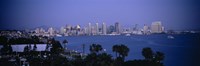San Diego skyline, California by Panoramic Images - 36" x 12"