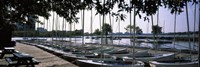Boats moored at a dock, Charles River, Boston, Suffolk County, Massachusetts, USA Fine Art Print