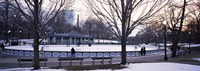Group of people in a public park, Frog Pond Skating Rink, Boston Common, Boston, Suffolk County, Massachusetts, USA Fine Art Print