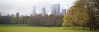 Foggy view of trees and buildings, Central Park, Manhattan, New York City, New York State, USA Fine Art Print