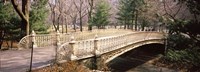 Arch bridge in a park, Central Park, Manhattan, New York City, New York State, USA Fine Art Print