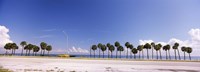 Palm trees at the roadside, Interstate 275, Tampa Bay, Gulf of Mexico, Florida, USA Fine Art Print