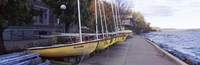 Sailboats in a row, University of Wisconsin, Madison, Dane County, Wisconsin, USA Fine Art Print