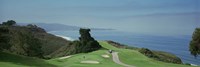 Golf course at the coast, Torrey Pines Golf Course, San Diego, California, USA Fine Art Print