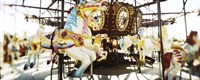 Close-up of carousel horses, Coney Island, Brooklyn, New York City, New York State, USA Fine Art Print