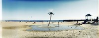 Palm tree sprinkler on the beach, Coney Island, Brooklyn, New York City, New York State, USA Fine Art Print