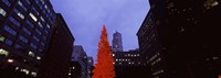 Low angle view of a Christmas tree, San Francisco, California, USA Fine Art Print