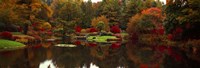 Reflection of trees in water, Japanese Tea Garden, Golden Gate Park, Asian Art Museum, San Francisco, California, USA Fine Art Print