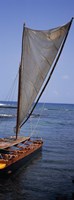 Canoe in the sea, Honolulu, Pu'uhonua o Honaunau National Historical Park, Honaunau, Hawaii, USA Fine Art Print