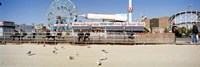 Tourists at an amusement park, Coney Island, Brooklyn, New York City, New York State, USA Fine Art Print