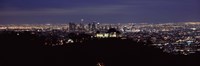 Aerial view of Los Angeles at night Fine Art Print